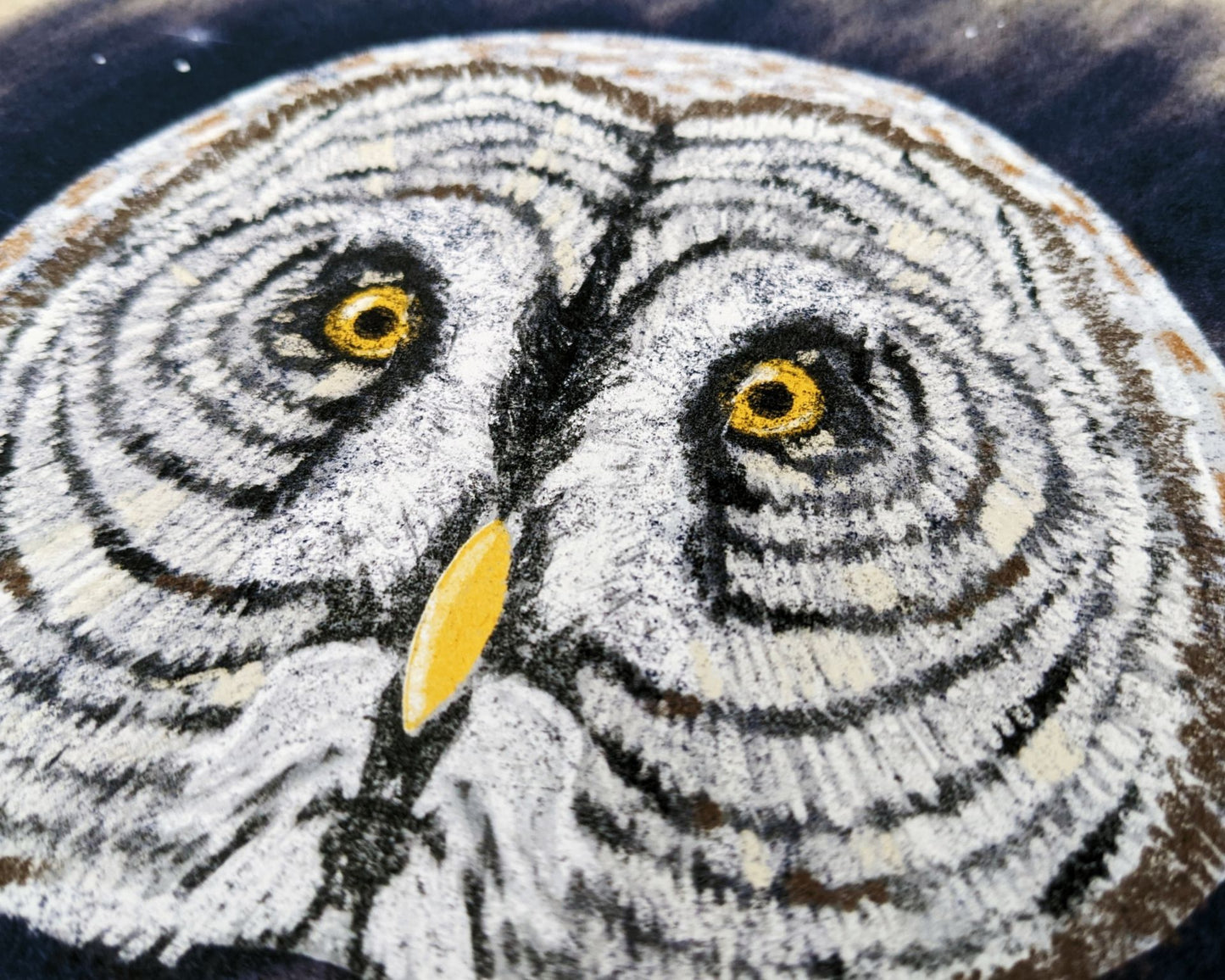 Great Gray Owl Illustration