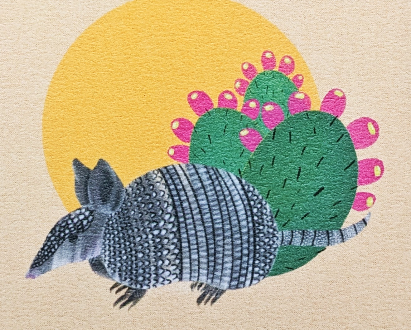 Armadillo at Sunset Archival Print