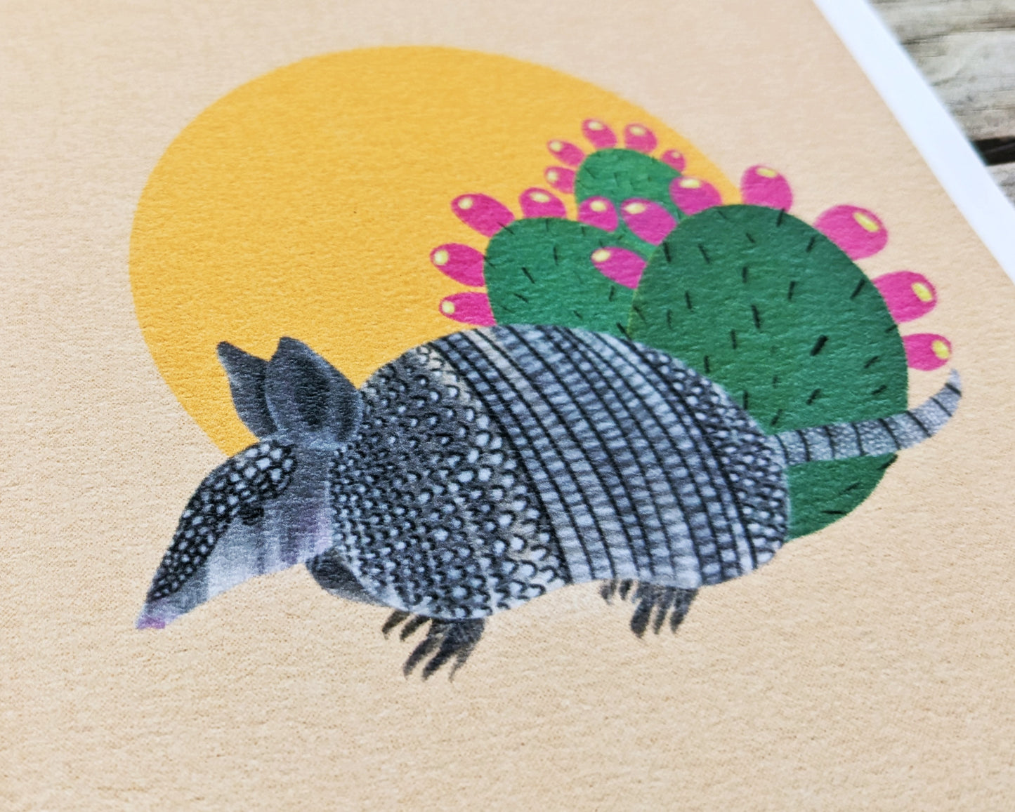 Armadillo at Sunset Archival Print