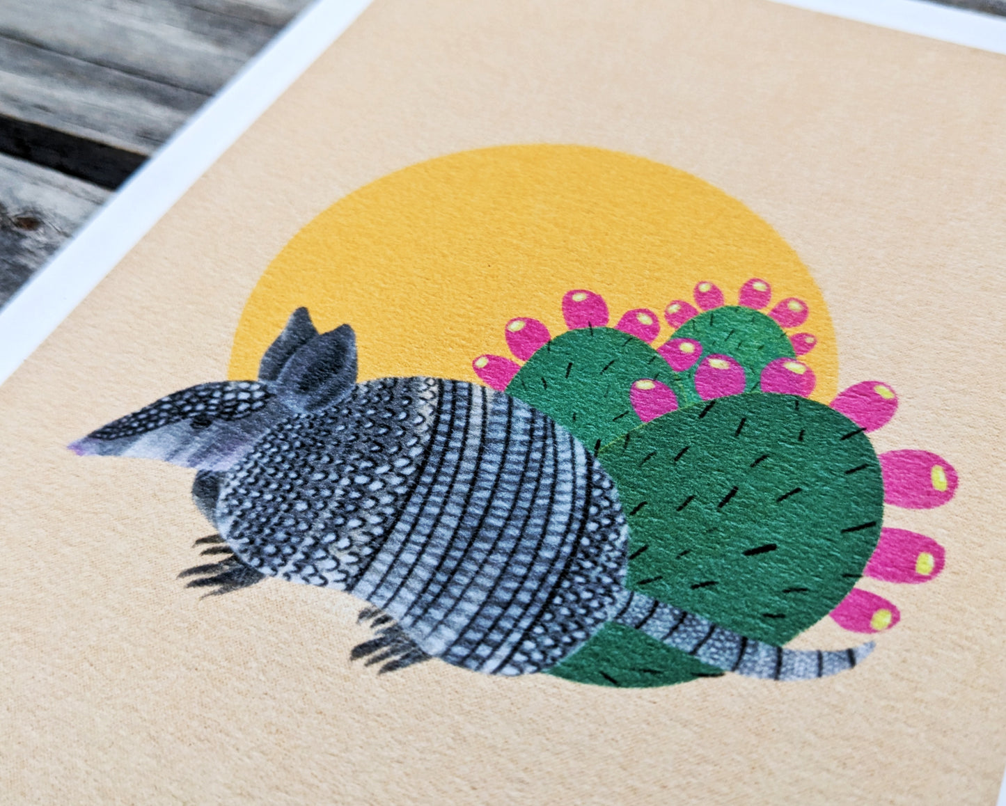 Armadillo at Sunset Archival Print