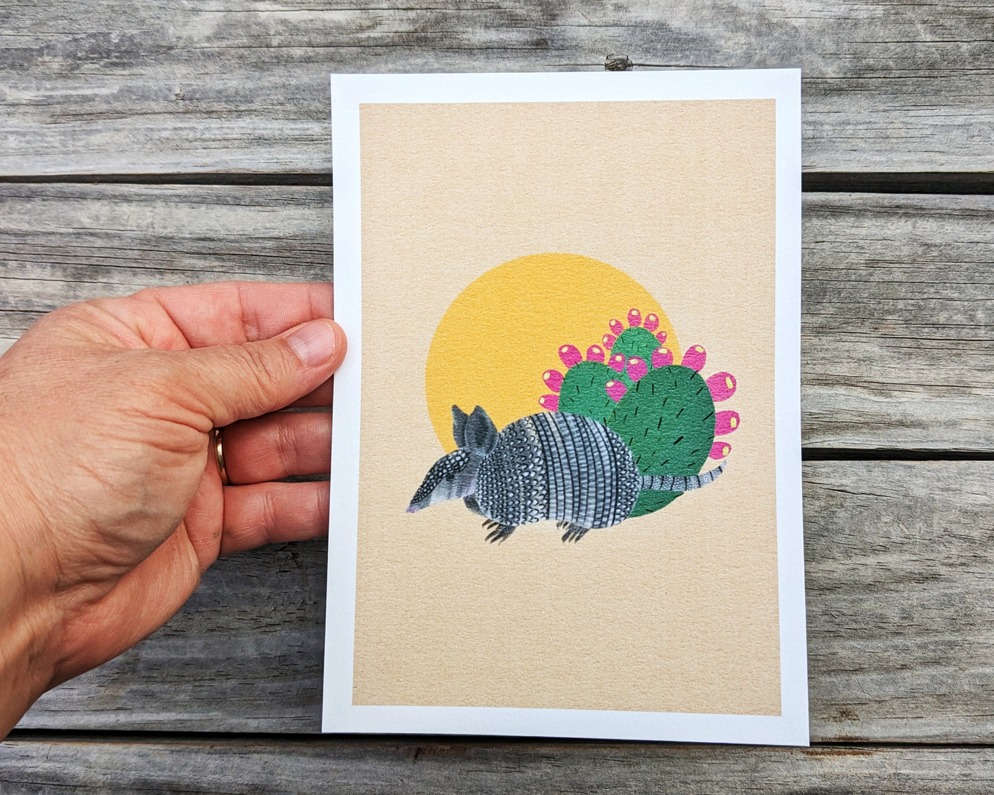 Armadillo at Sunset Archival Print