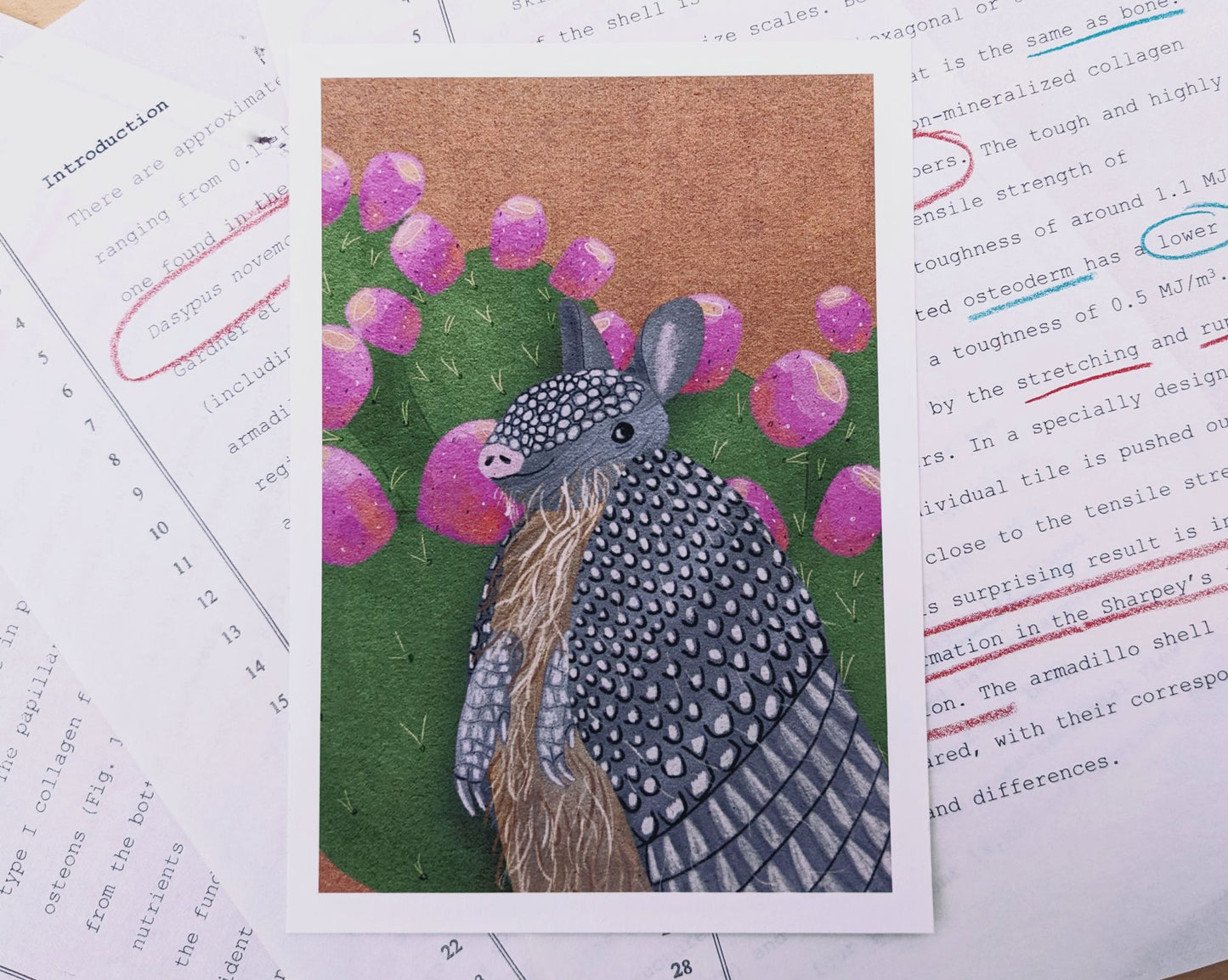 Armadillo Greetings Archival Print