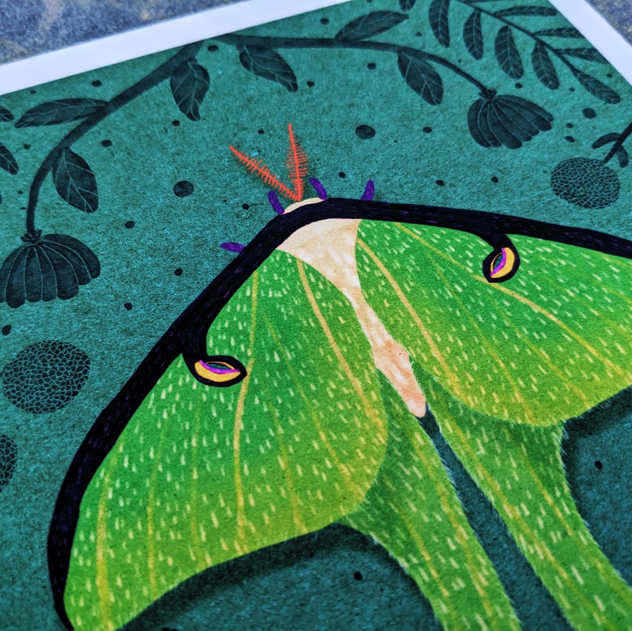 Homage to the Ephemeral Archival Print