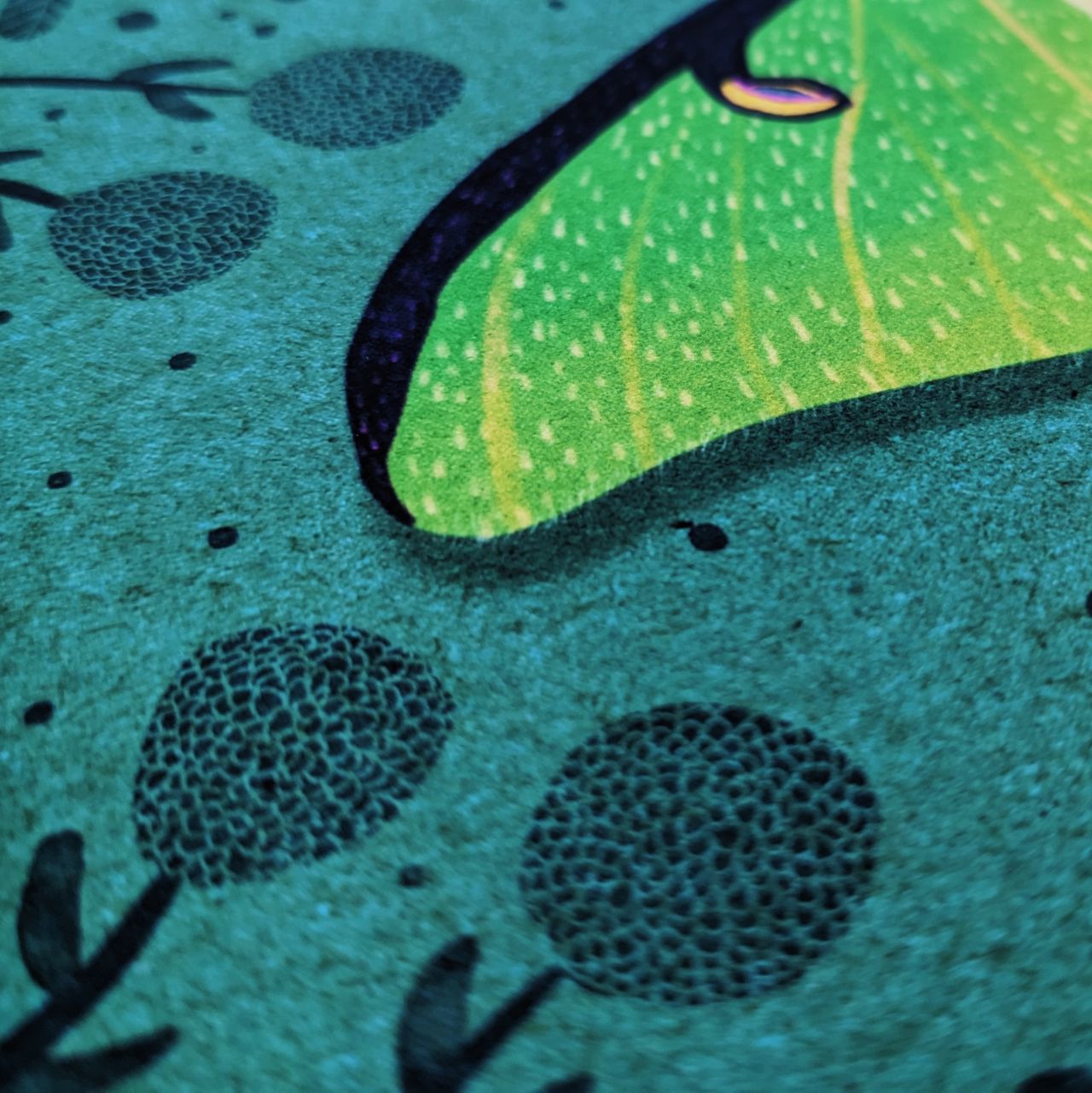 Homage to the Ephemeral Archival Print