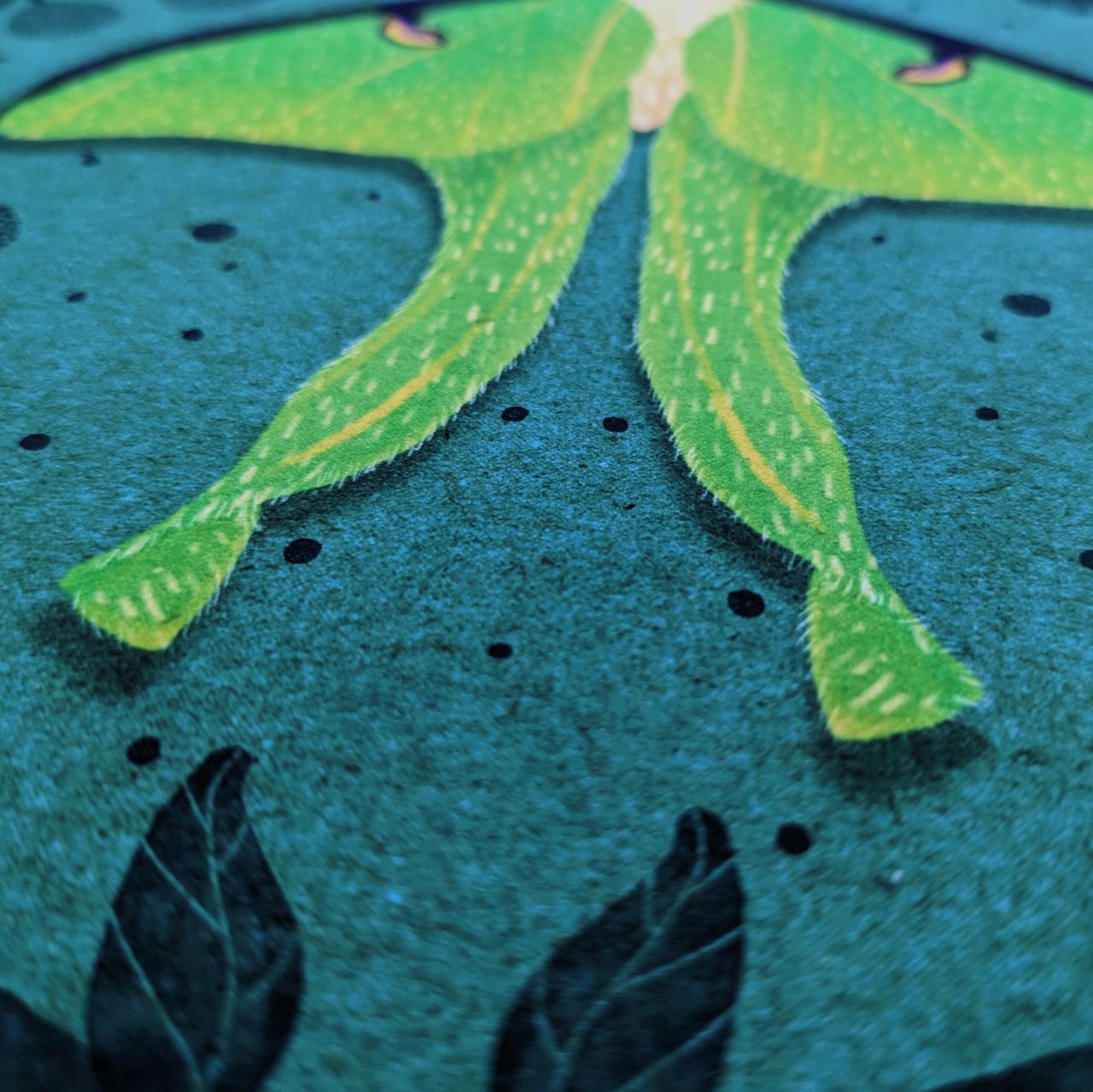 Homage to the Ephemeral Archival Print