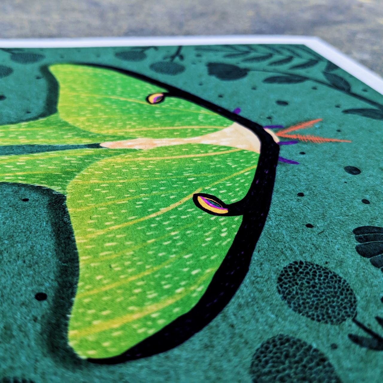 Homage to the Ephemeral Archival Print