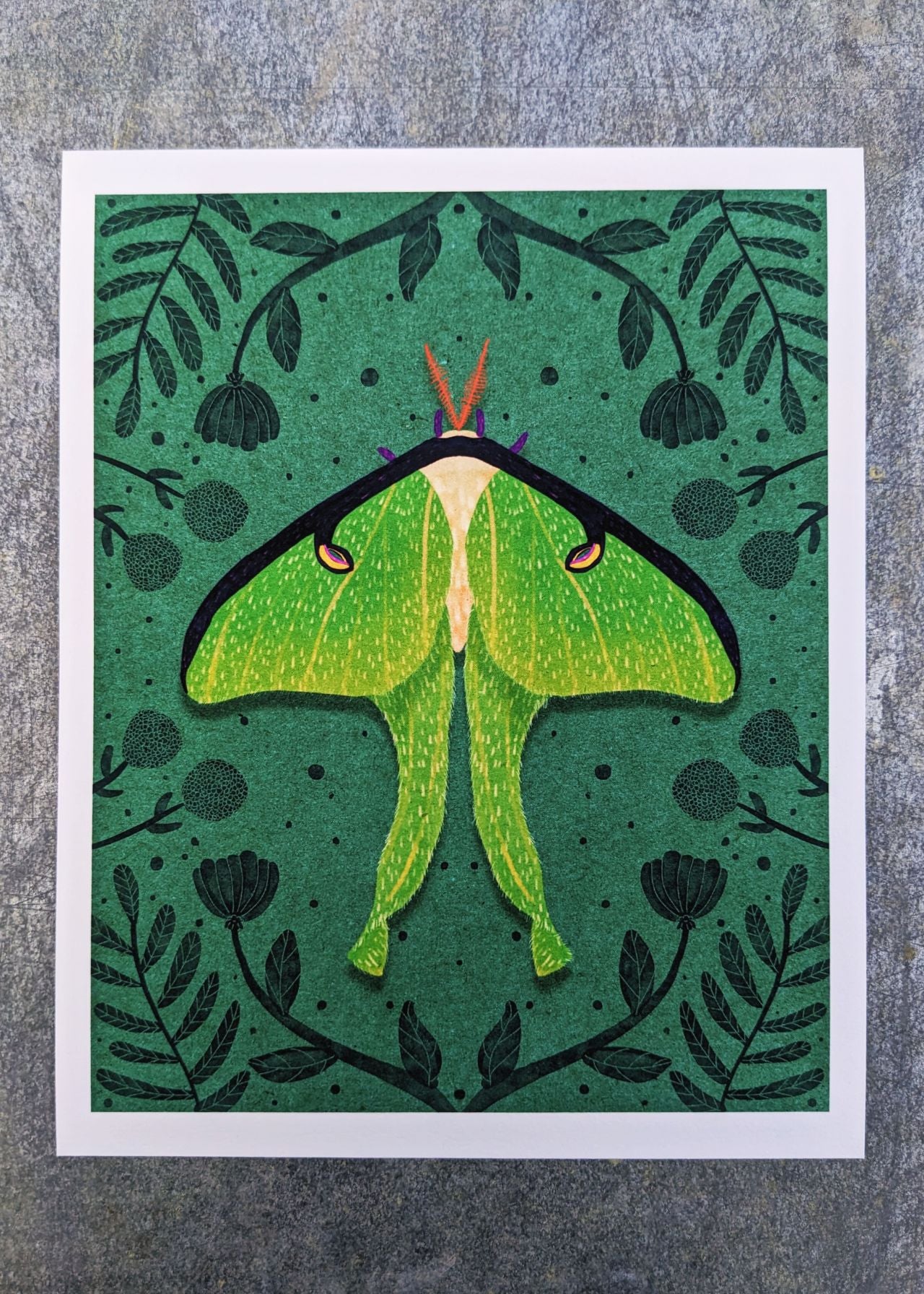 Homage to the Ephemeral Archival Print