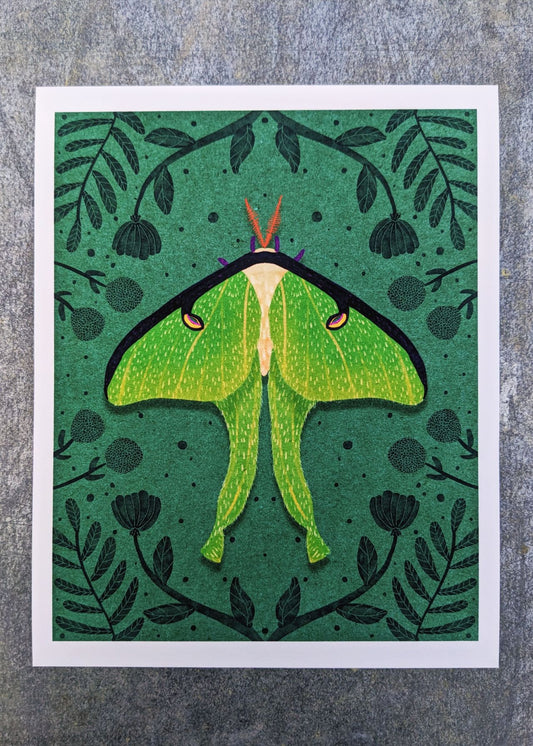 Homage to the Ephemeral Archival Print