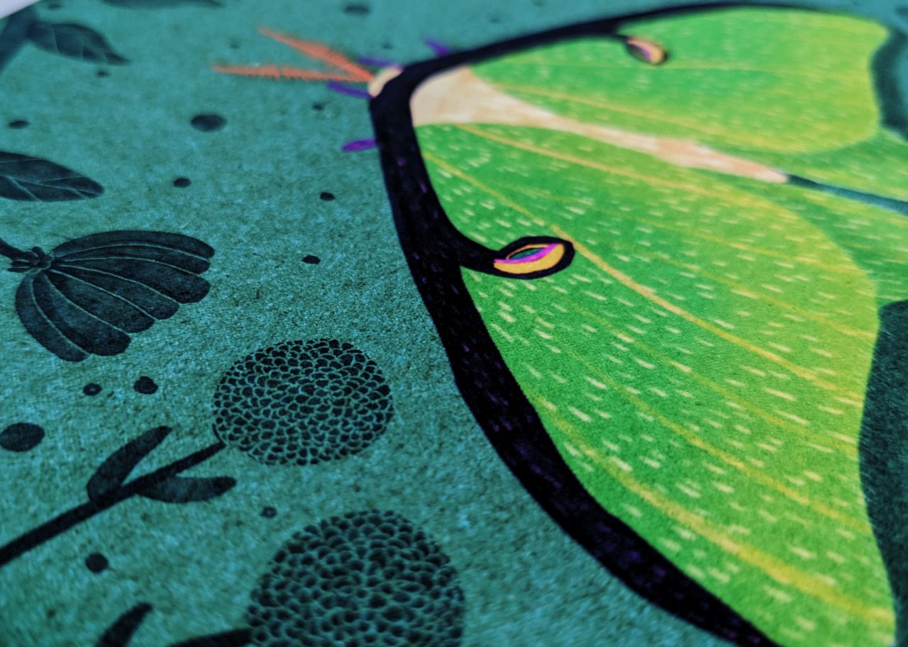 Homage to the Ephemeral Archival Print