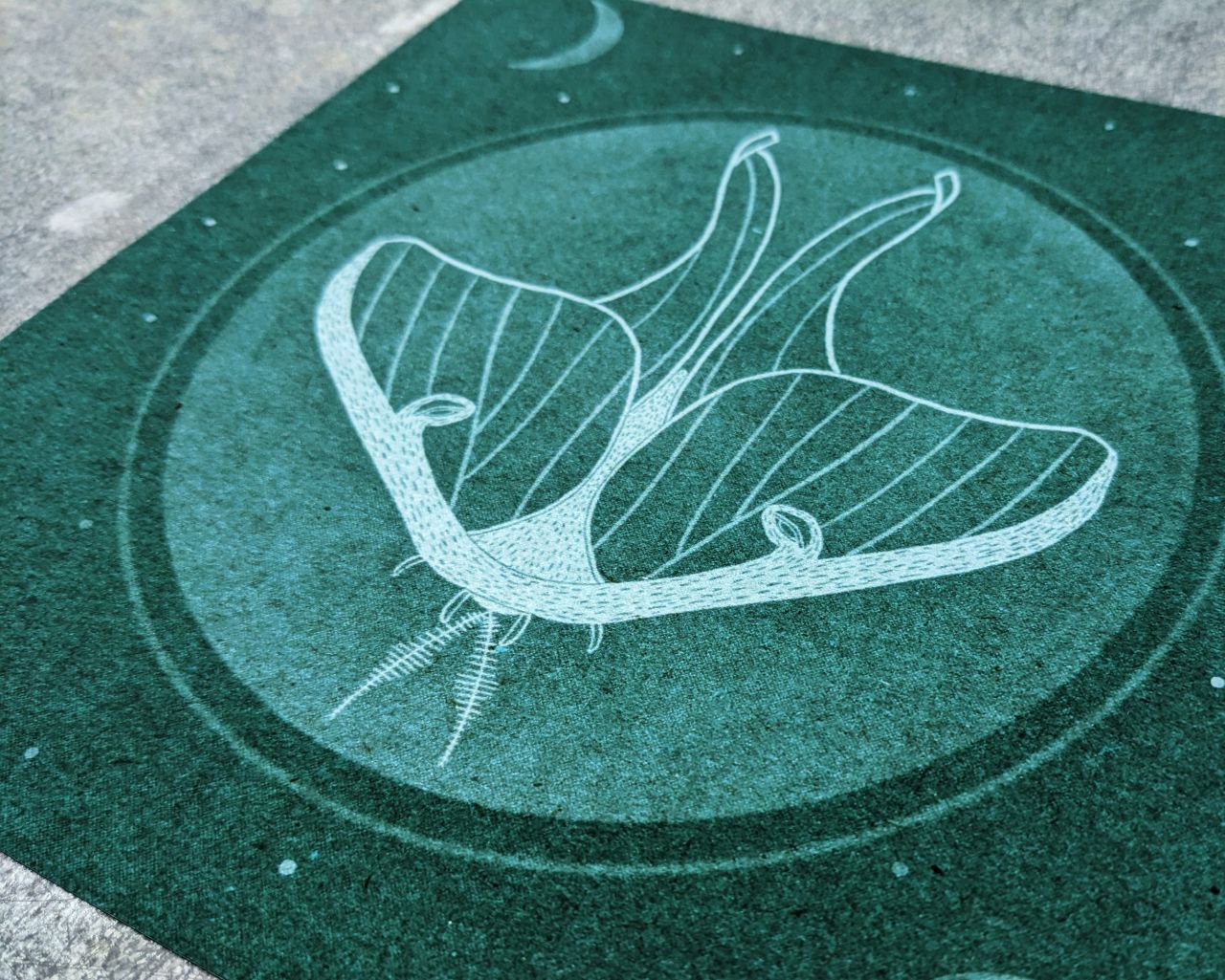 The Waning Transition Archival Print