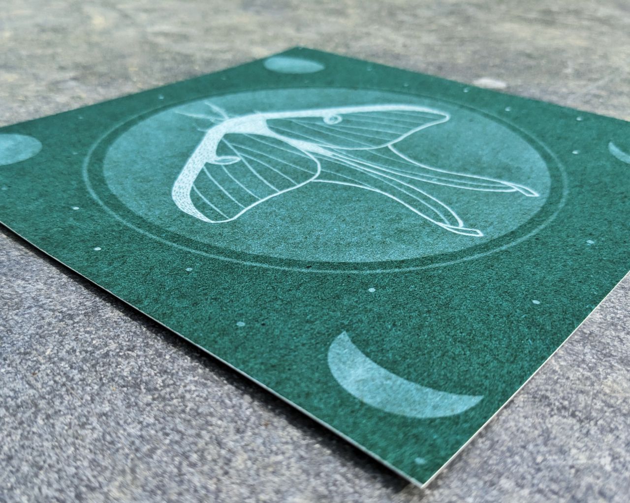 The Waning Transition Archival Print