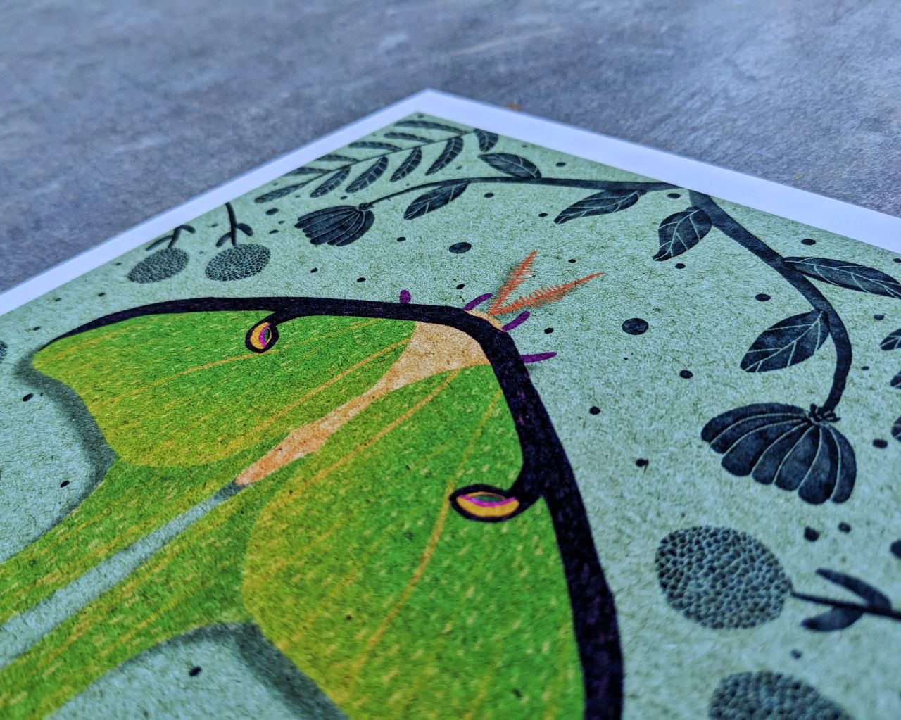 Homage to the Ephemeral Archival Print