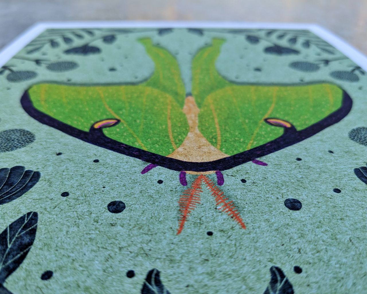 Homage to the Ephemeral Archival Print