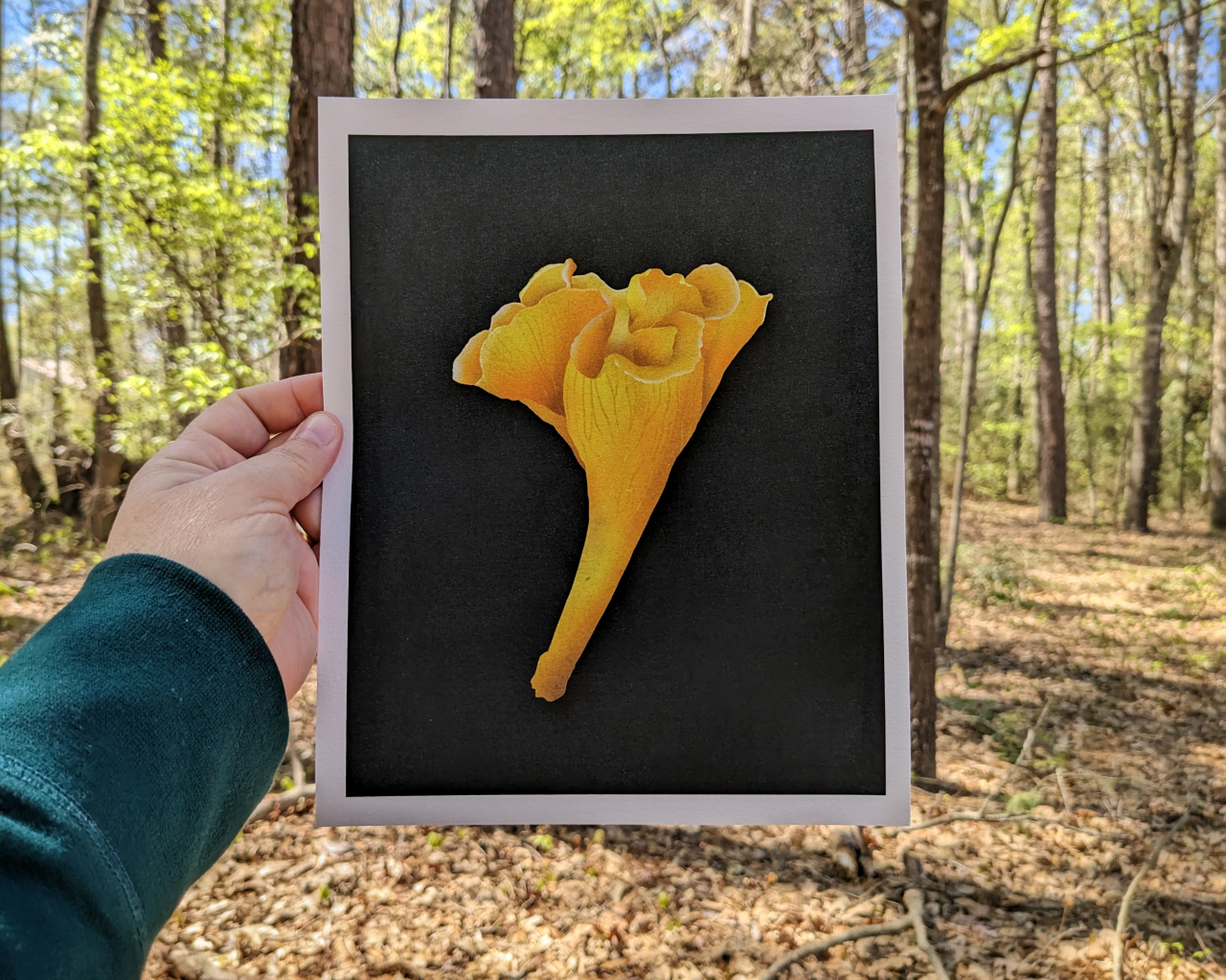 We Shall by Morning Inherit the Earth Archival Print