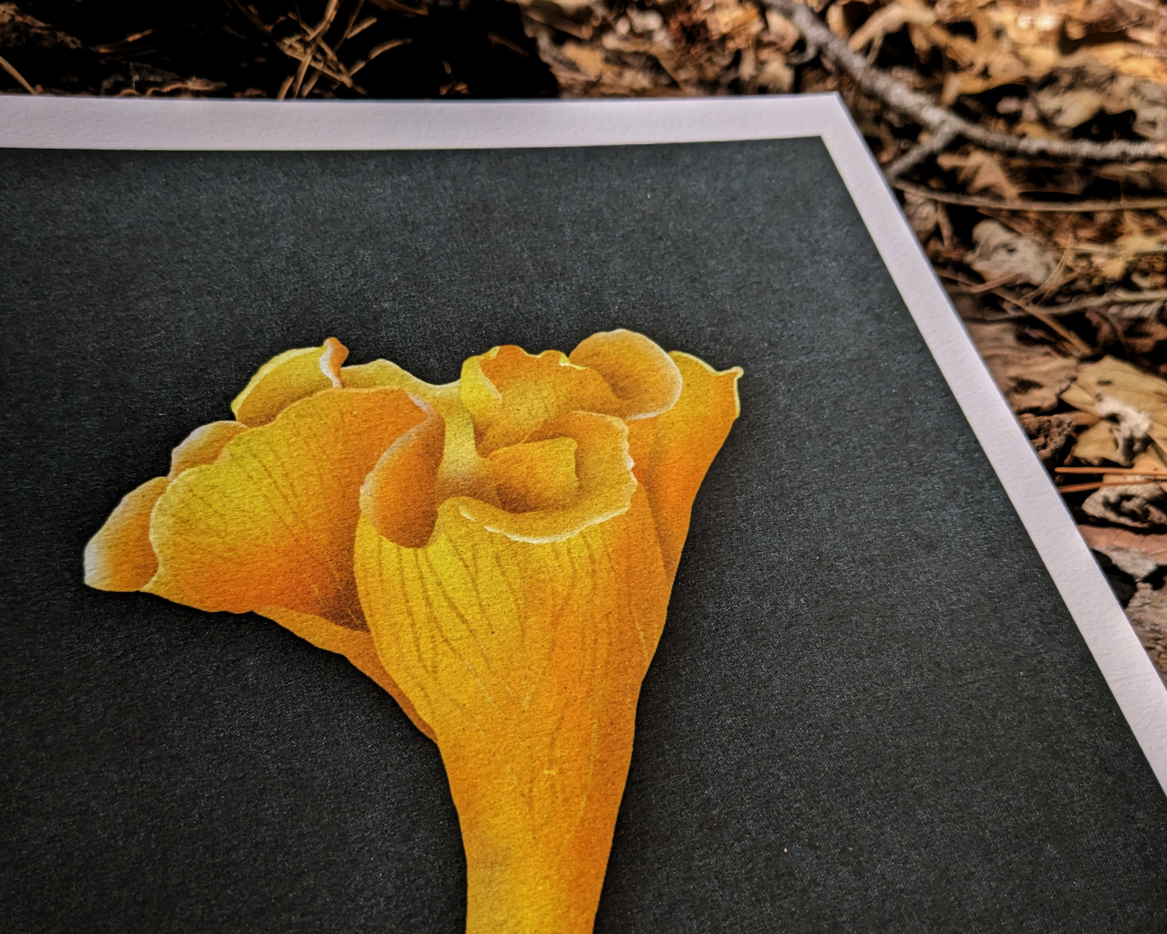 We Shall by Morning Inherit the Earth Archival Print