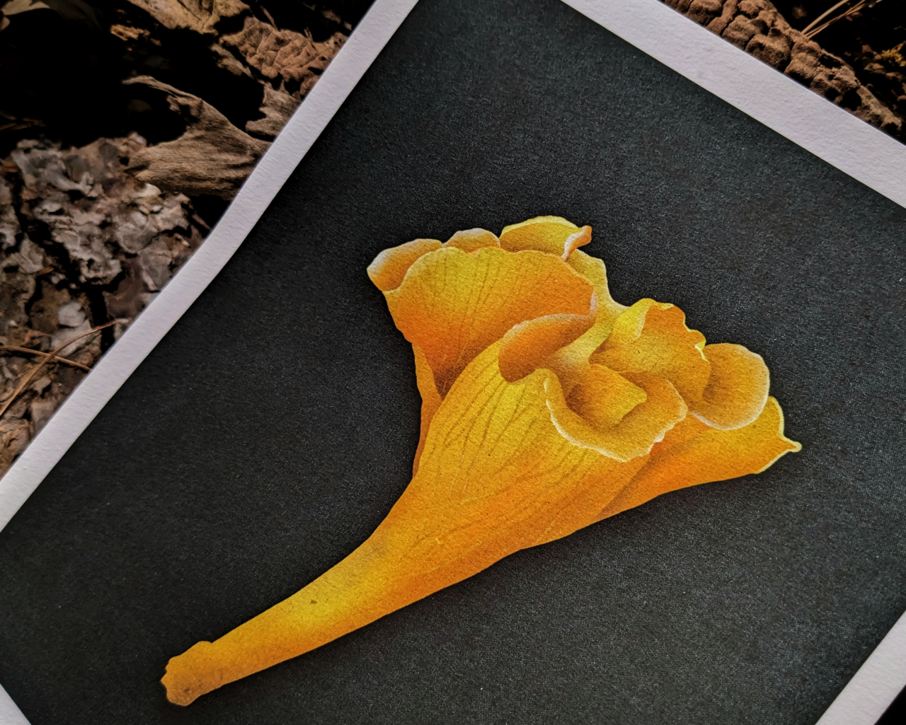 We Shall by Morning Inherit the Earth Archival Print