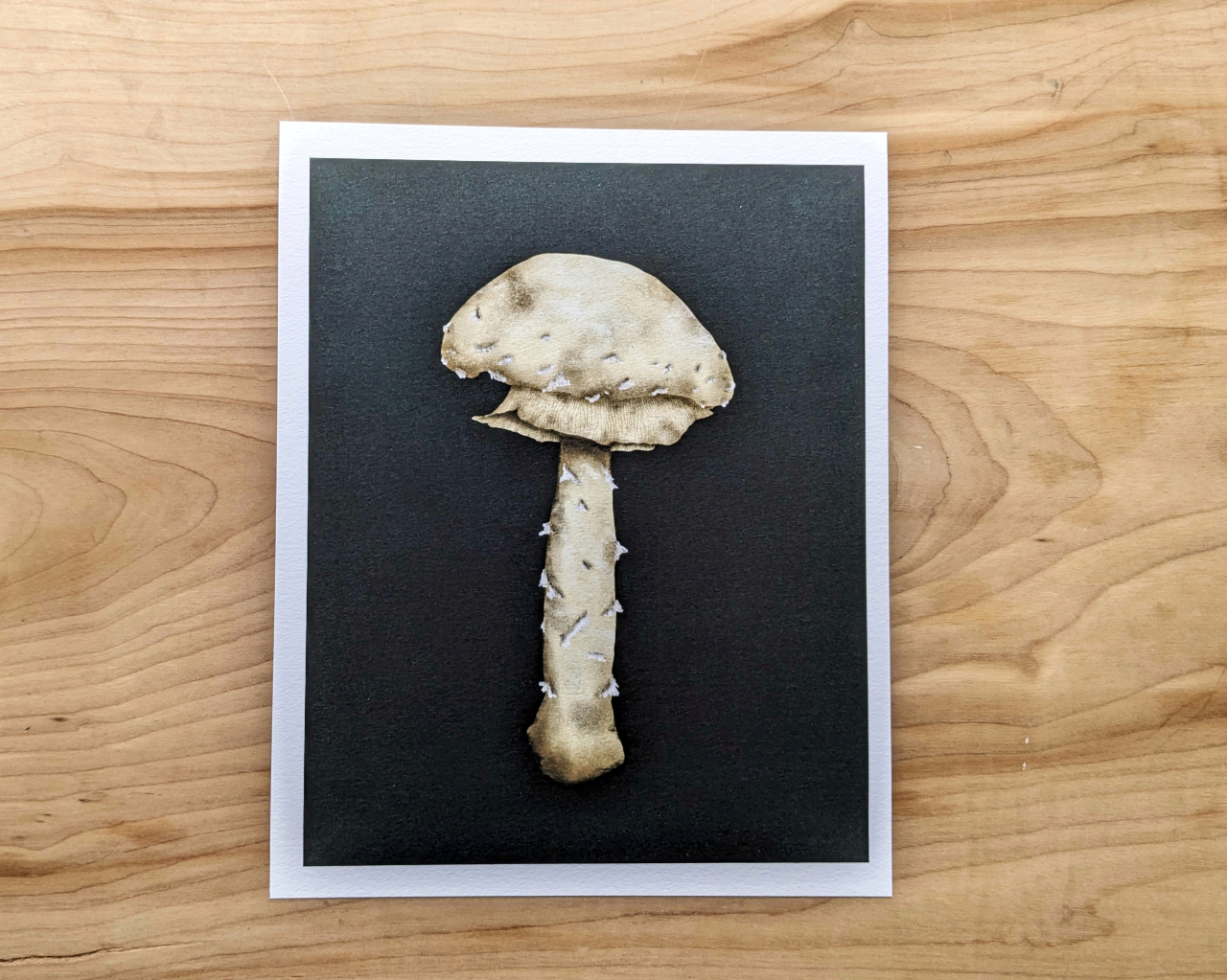 Ghost of the Forest Floor Archival Print