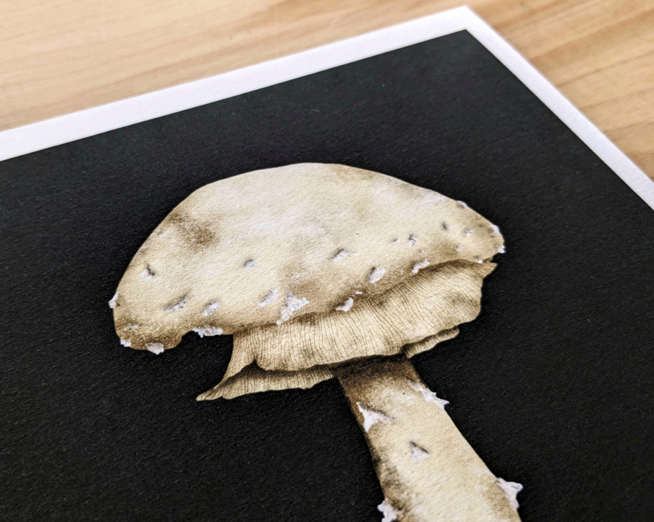 Ghost of the Forest Floor Archival Print