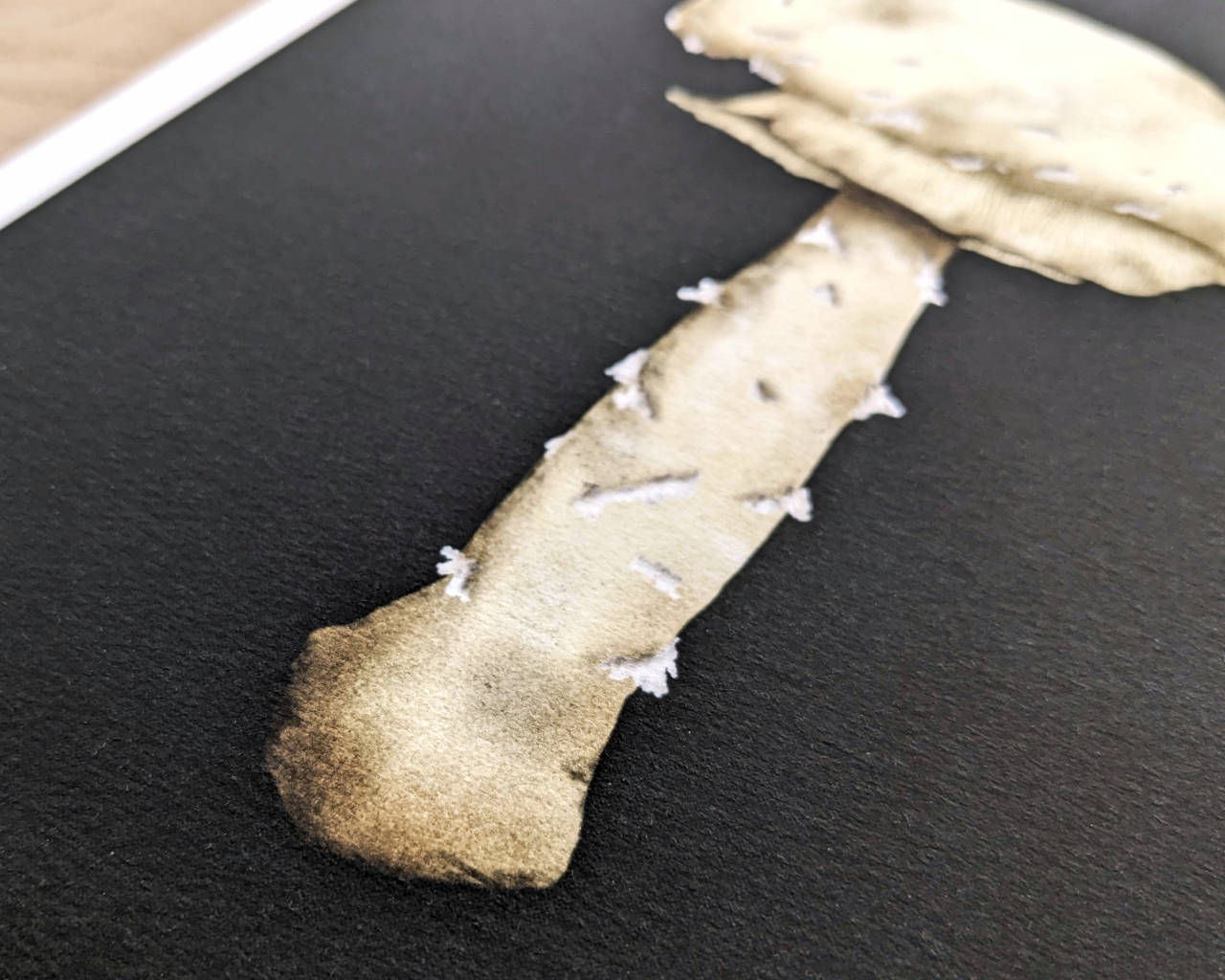 Ghost of the Forest Floor Archival Print