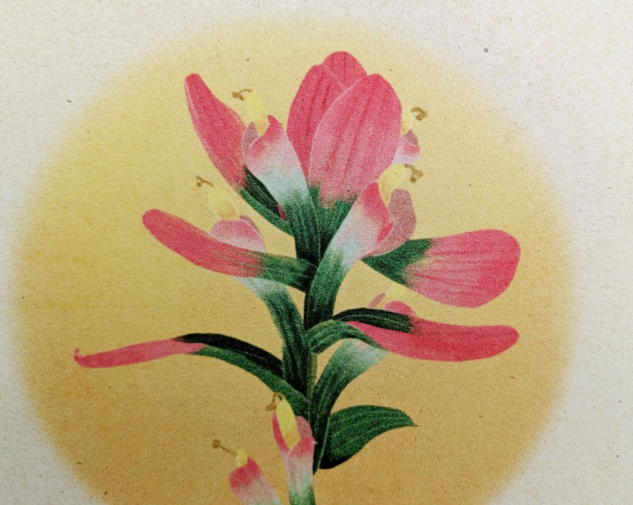 Prairie Fire Archival Print