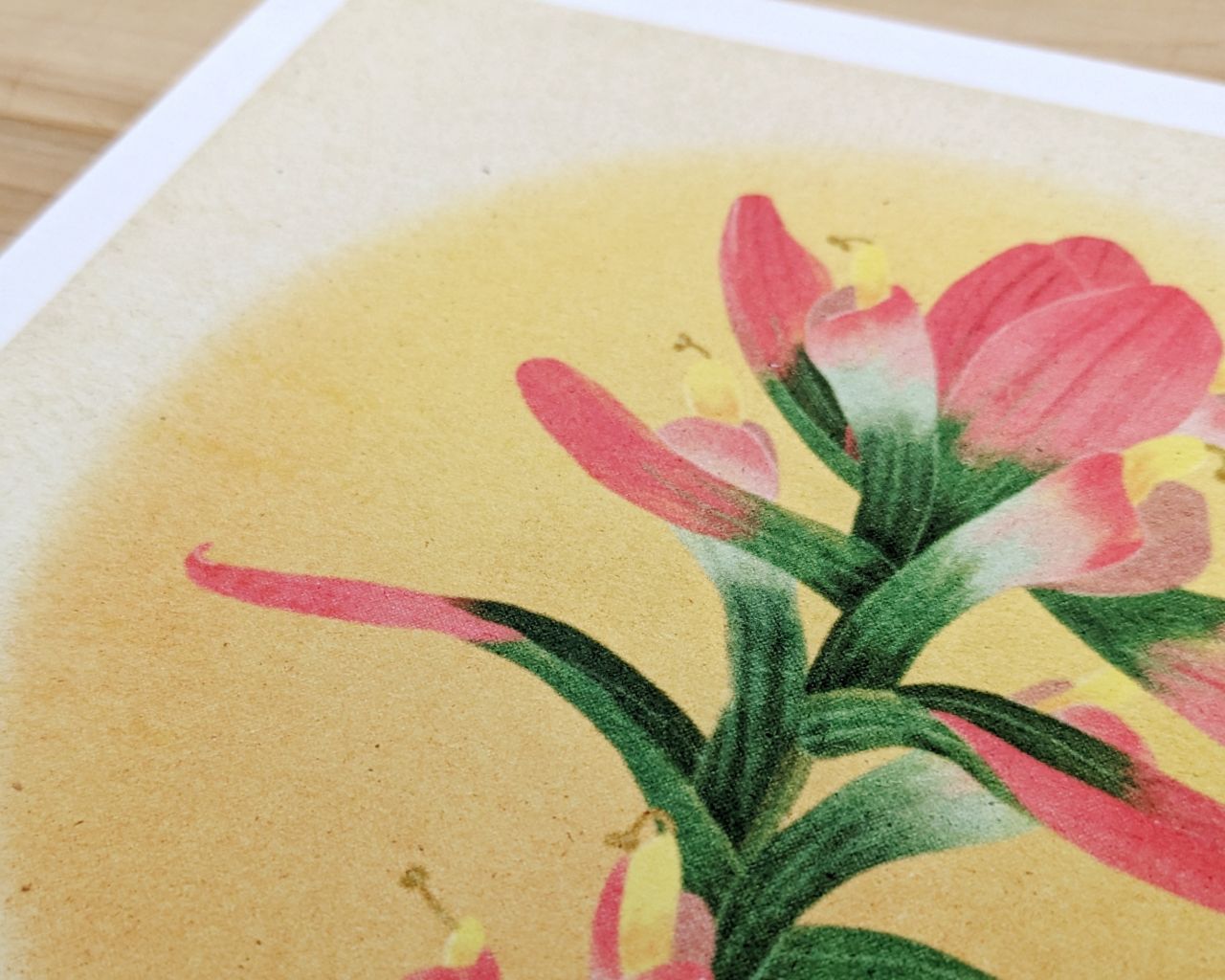 Prairie Fire Archival Print