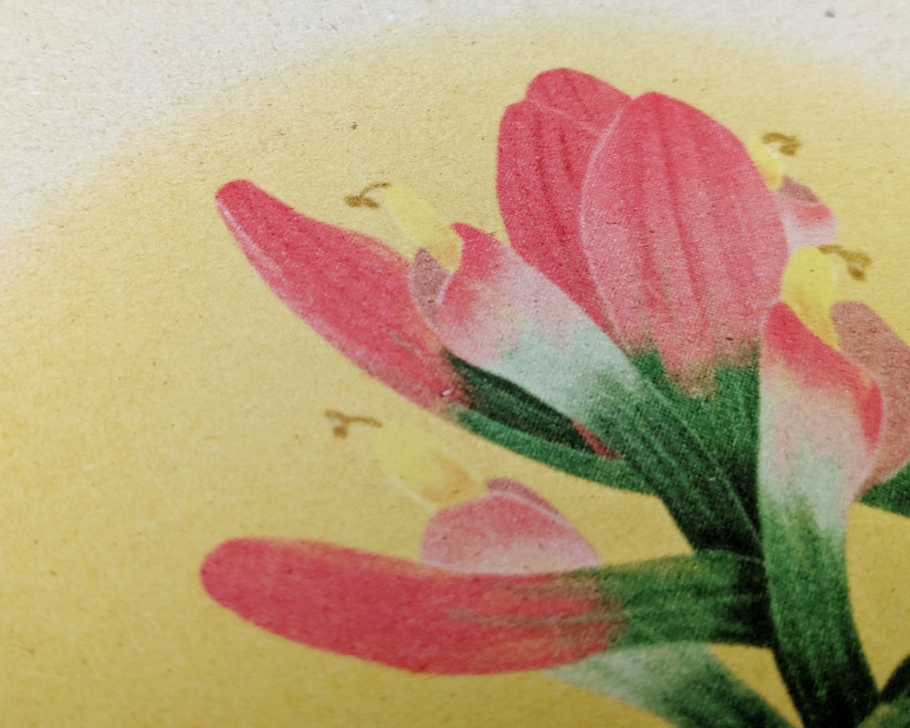 Prairie Fire Archival Print