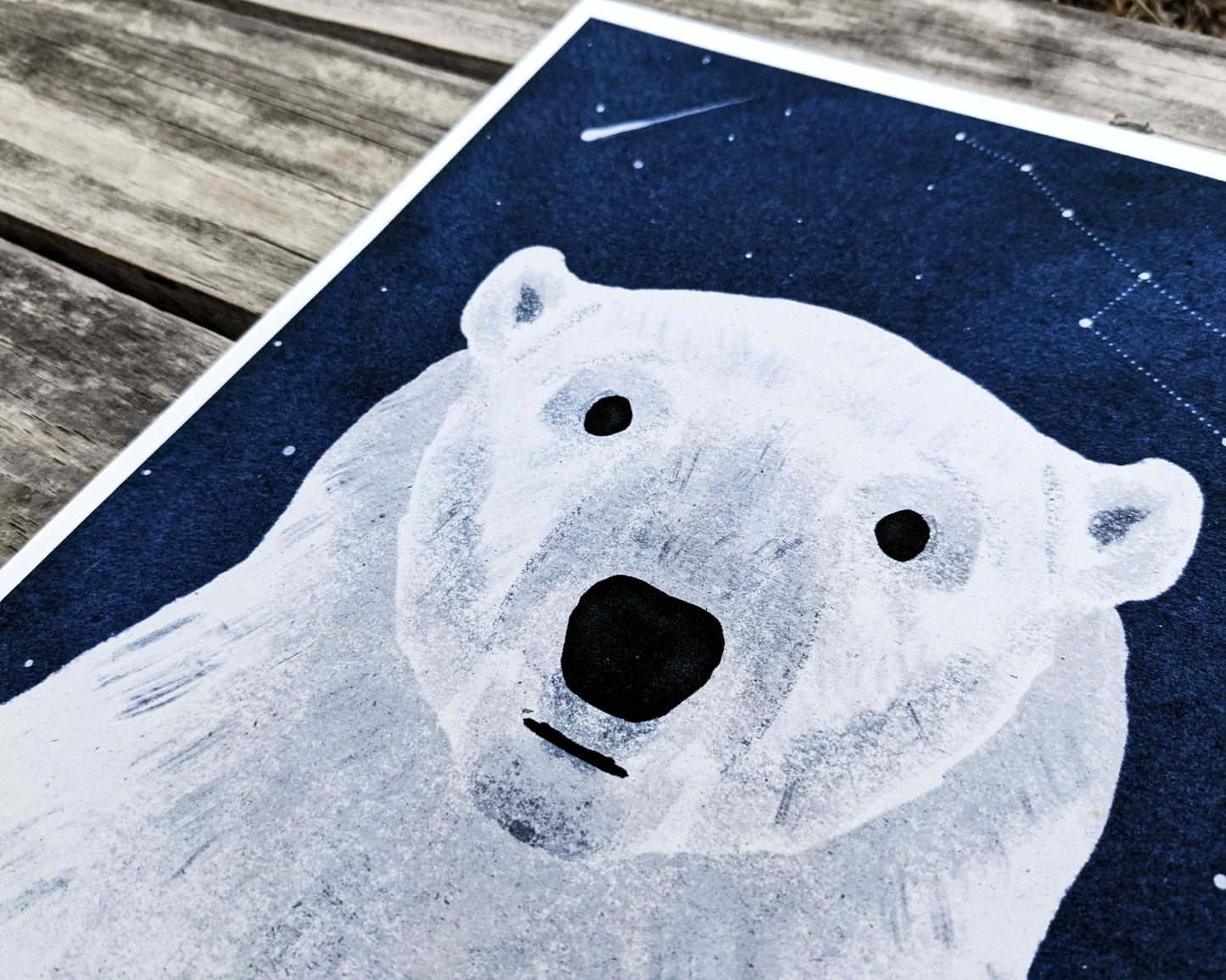 Polar Bear Illustration Archival Print