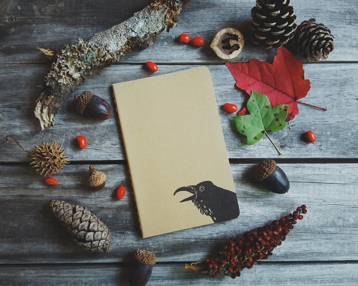 Crow Notebook