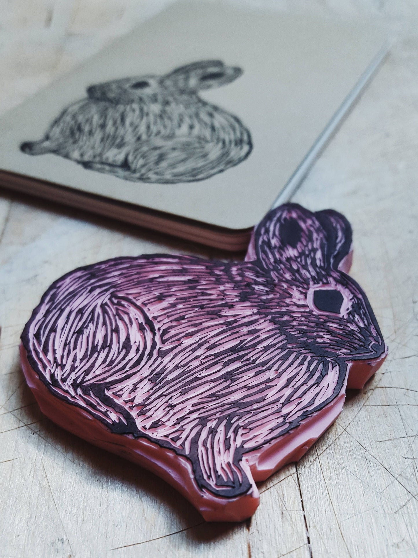 Columbia Basin Pygmy Rabbit Notebook