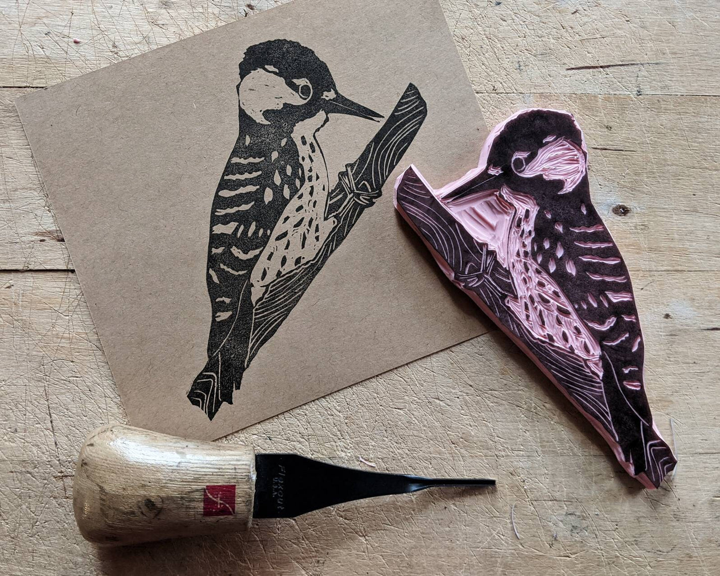 Red Cockaded Woodpecker Notebook