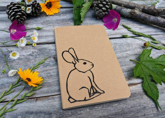 Patient Rabbit Notebook