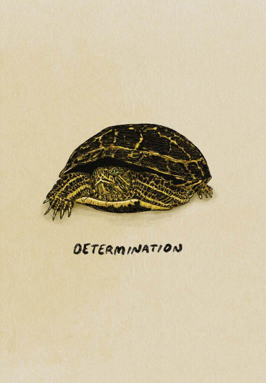 Determination Illustration