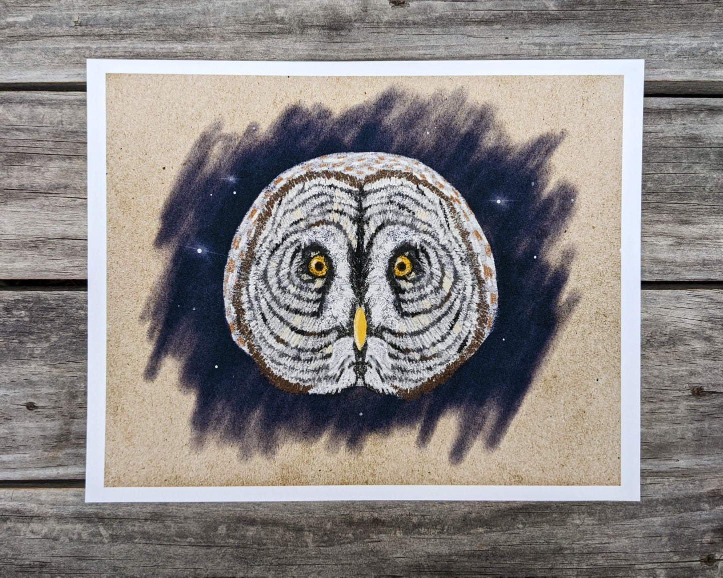 Great Gray Owl Illustration