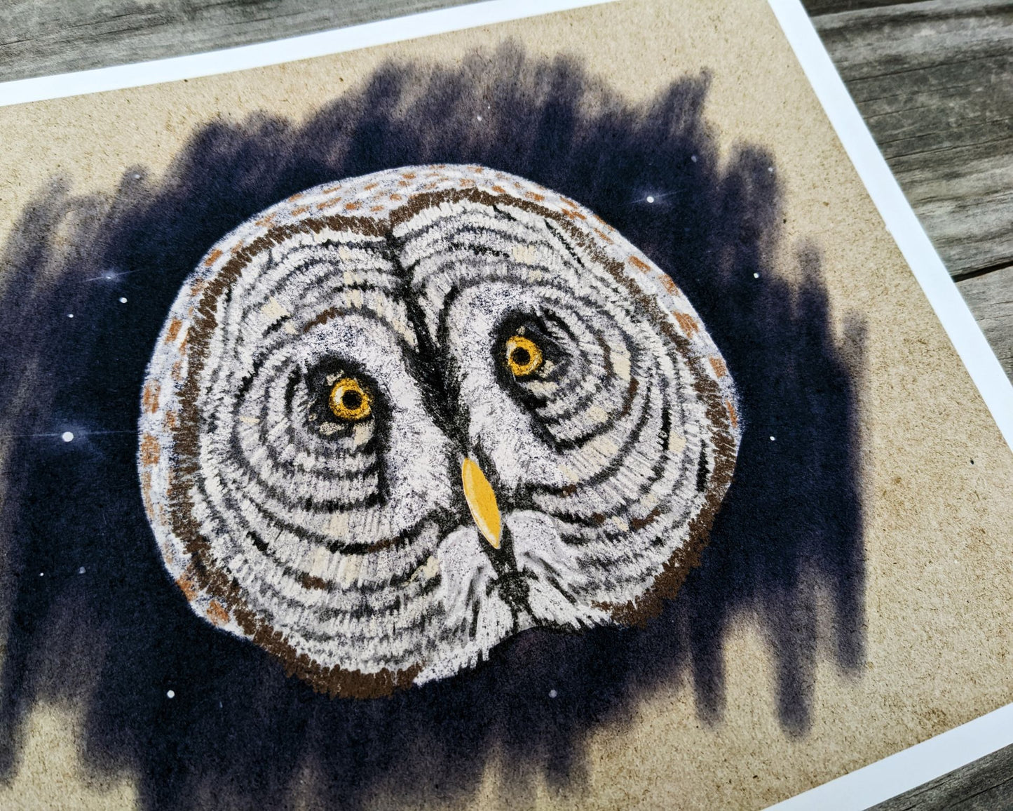 Great Gray Owl Illustration