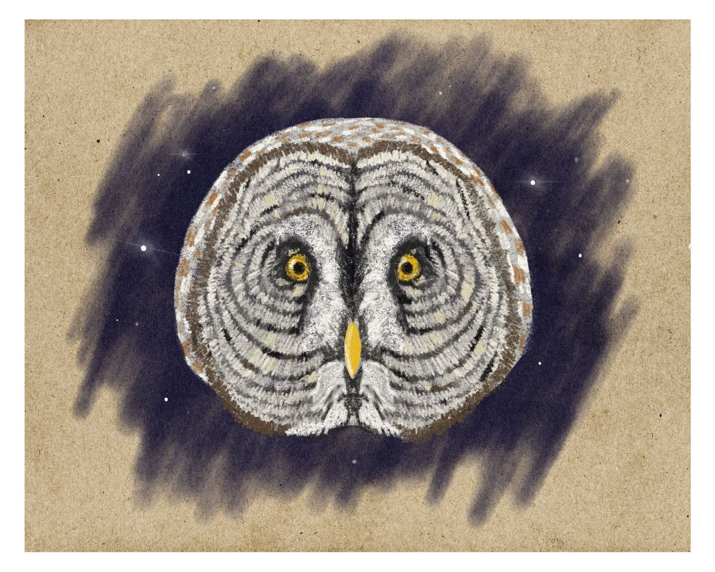 Great Gray Owl Illustration