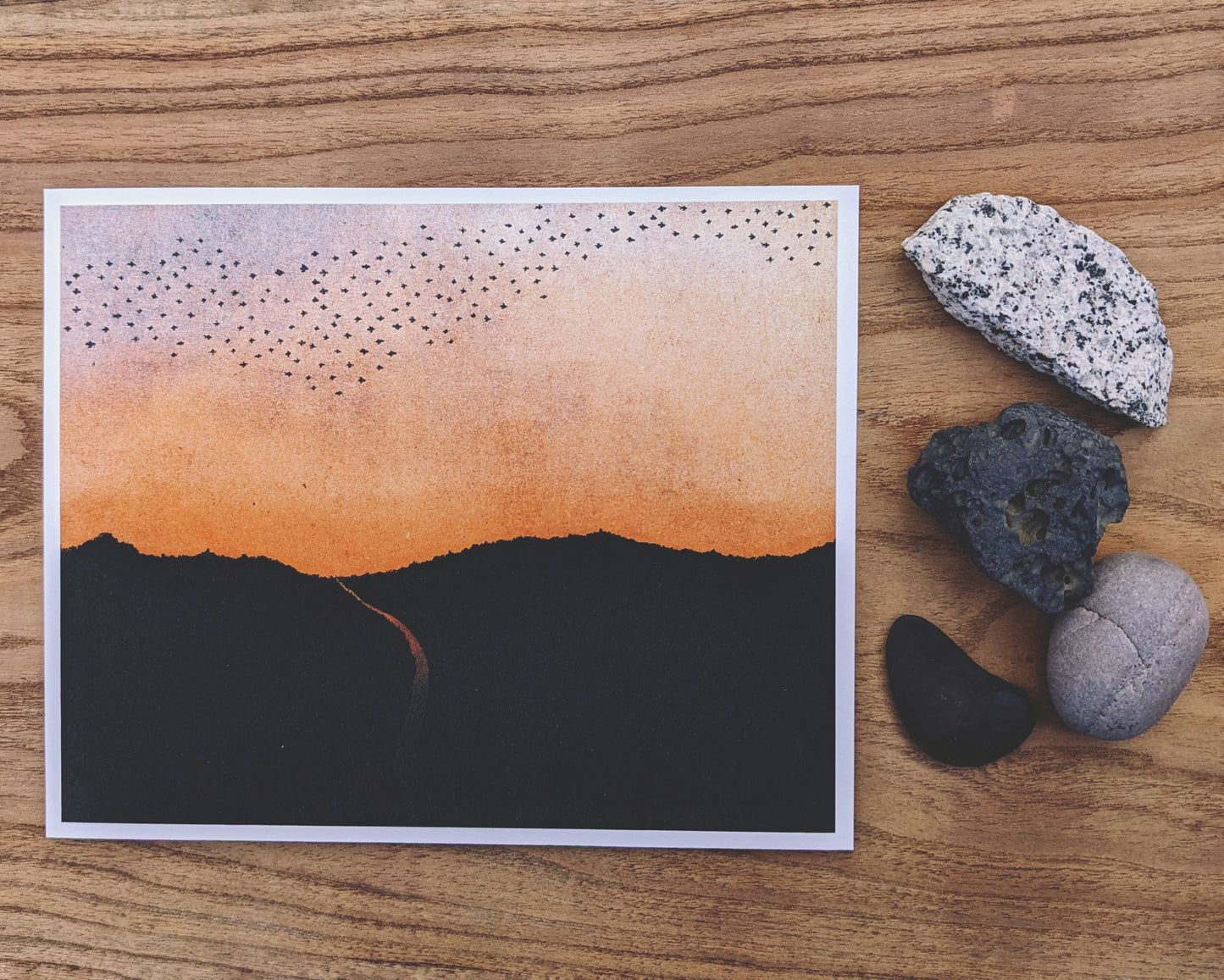 Sol's Ombré Murmuration Archival Print