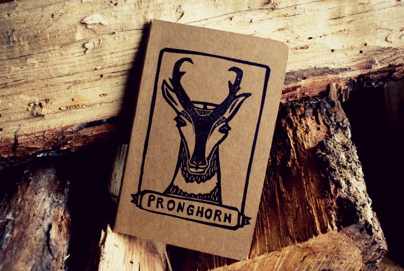 Pronghorn Notebook