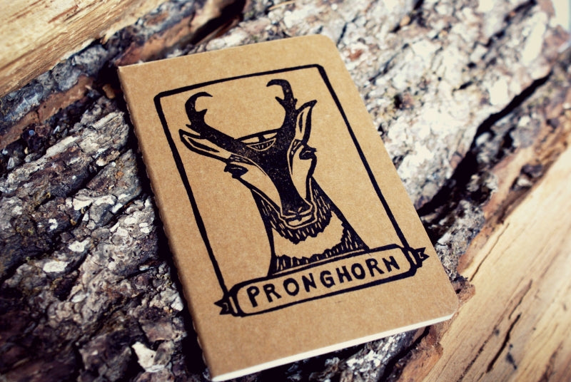 Pronghorn Notebook