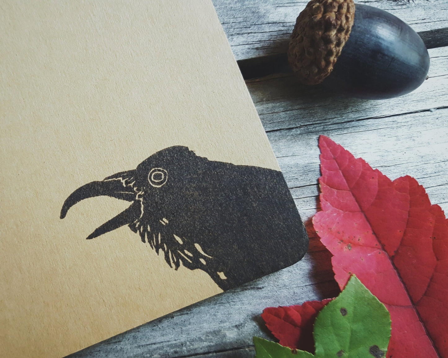 Crow Notebook
