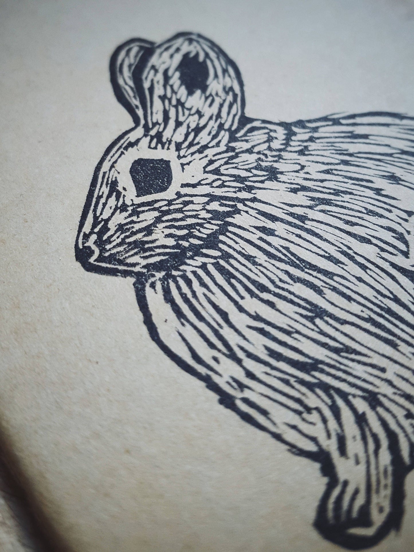 Columbia Basin Pygmy Rabbit Notebook