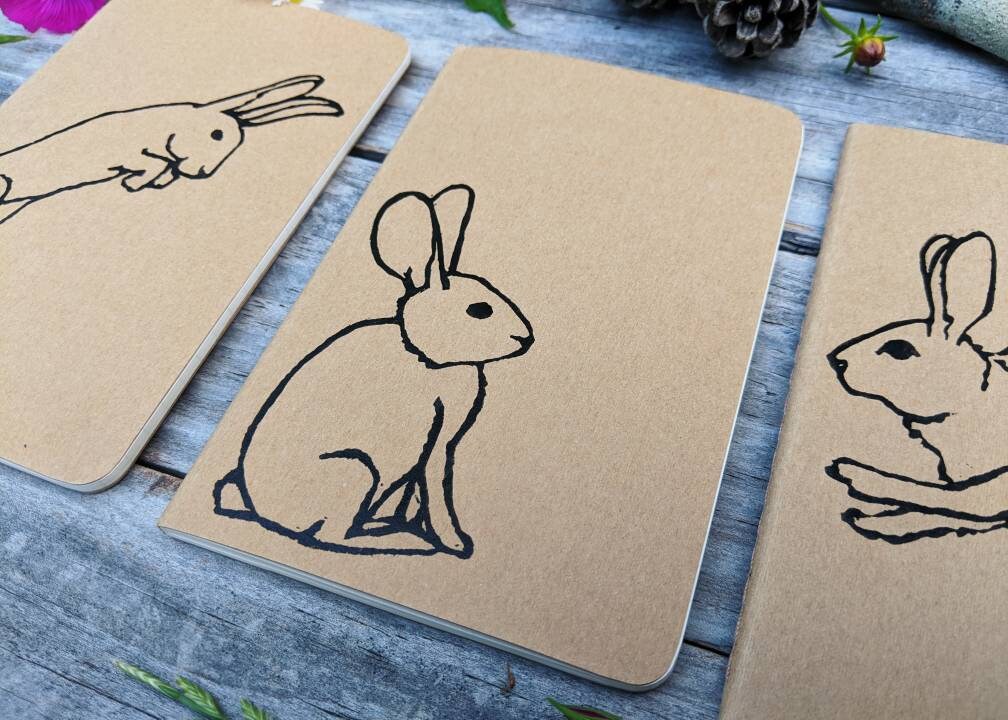 Patient Rabbit Notebook