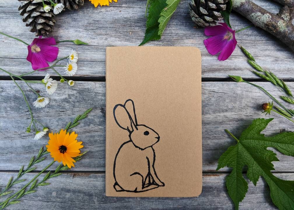 Patient Rabbit Notebook